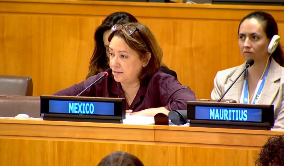 Misión de México ONU tweet media