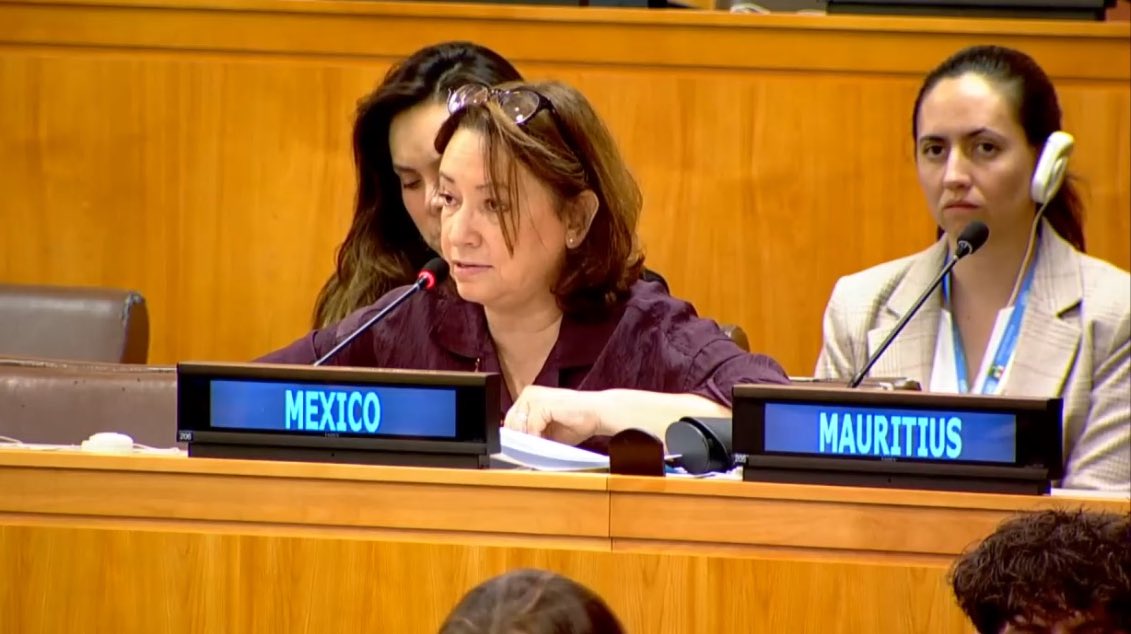 Misión de México ONU tweet media