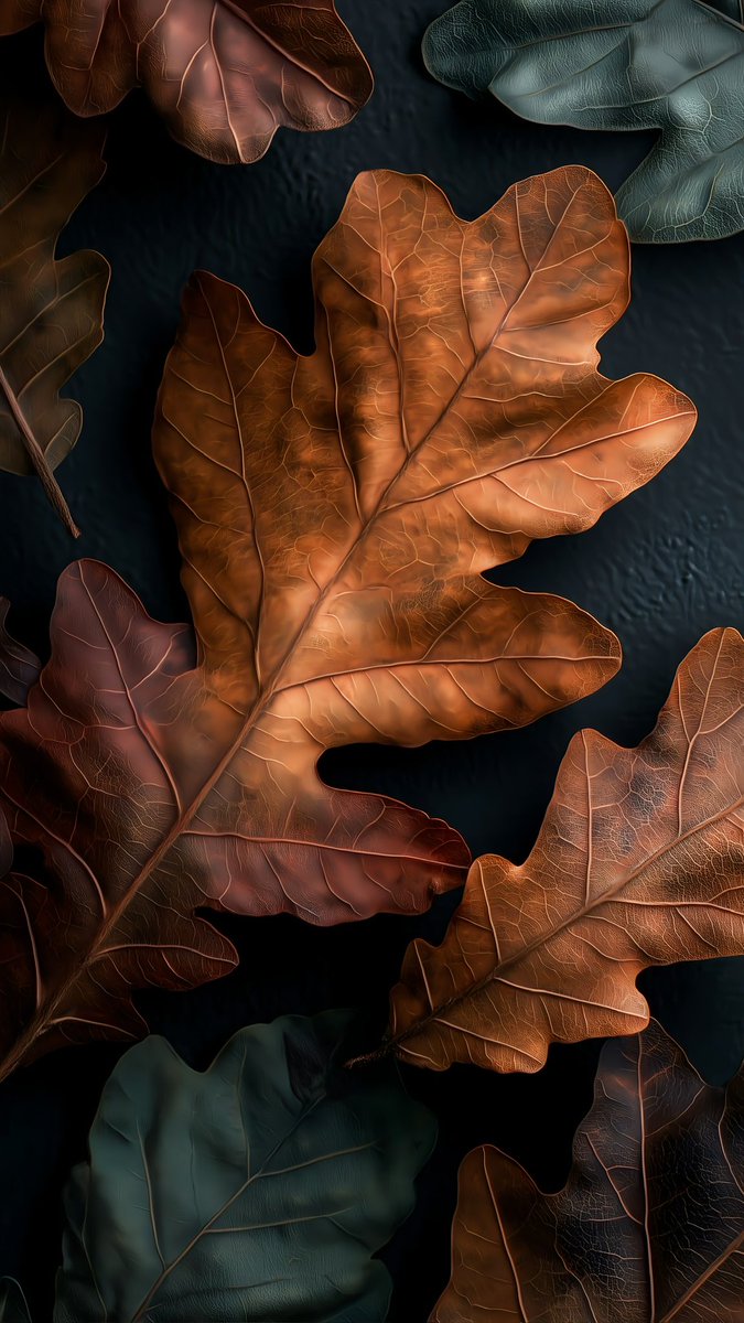 Leonard18_X's tweet image. "Autumn leaves bring cozy vibes to my lock screen! 🍂✨ #FallAesthetic #WallpaperStyle"
Load 4k