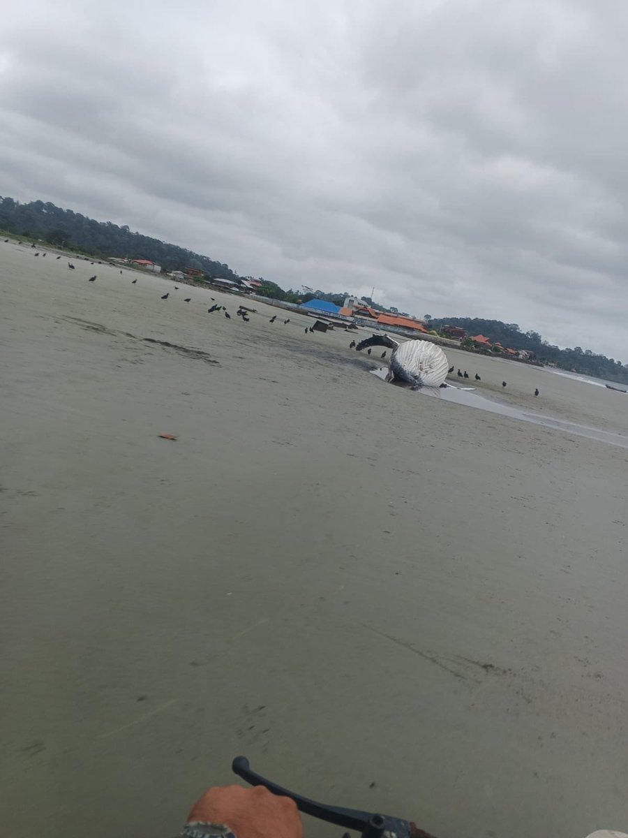 Ballena varada en Mompiche. 
<a href="/EcuadorMAE/">Ministerio de Ambiente y Energía</a>