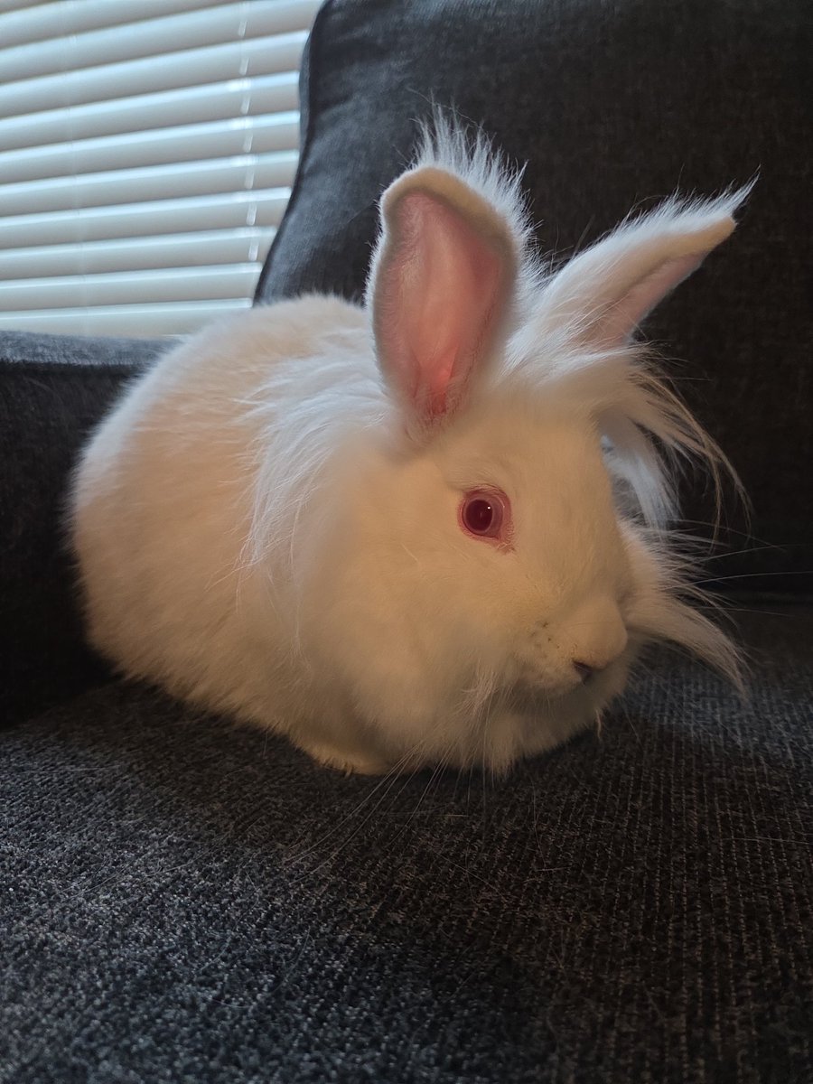 Vitallic tweet media