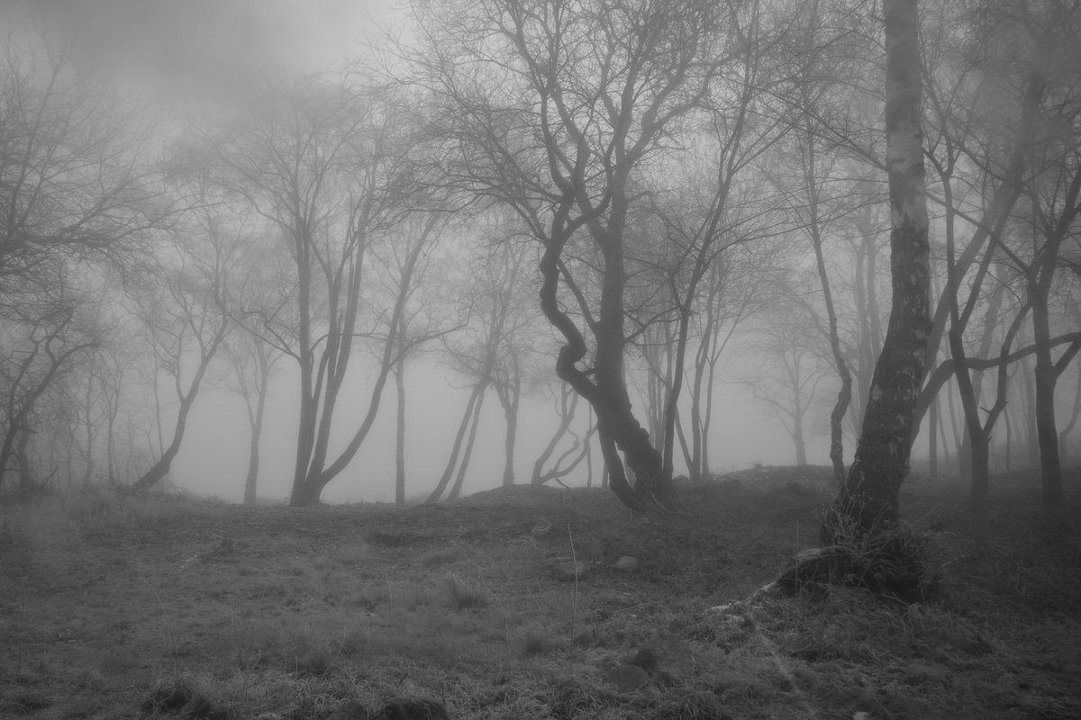 Alexander (@juststrangefeel) on Twitter photo 