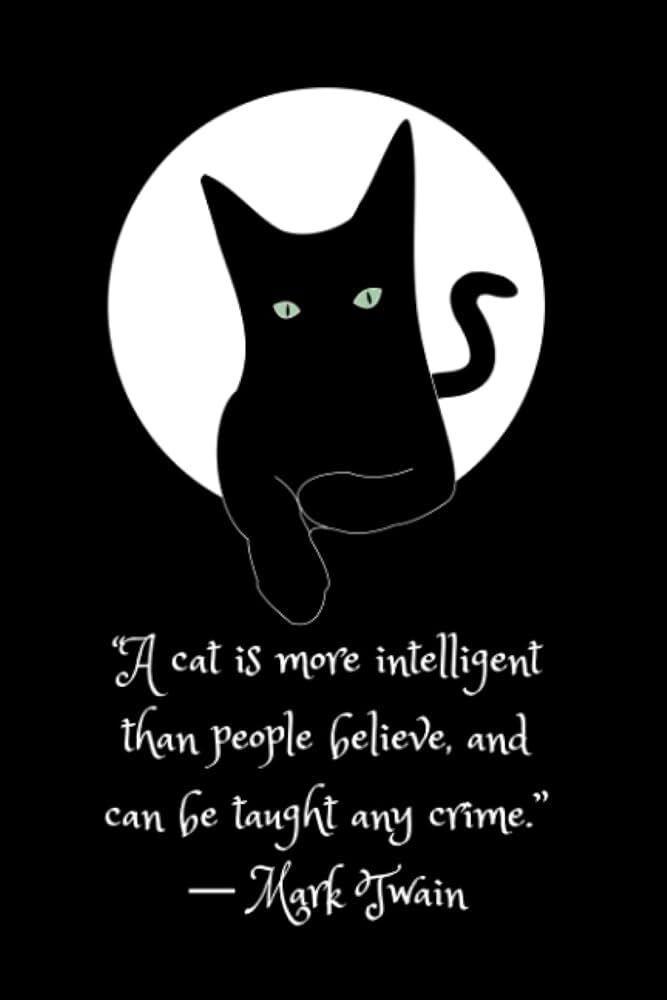Be cat! Do crimes! 

#CatsOfTwitter #CatsOfX #BeGayDoCrimes #CozyMystery