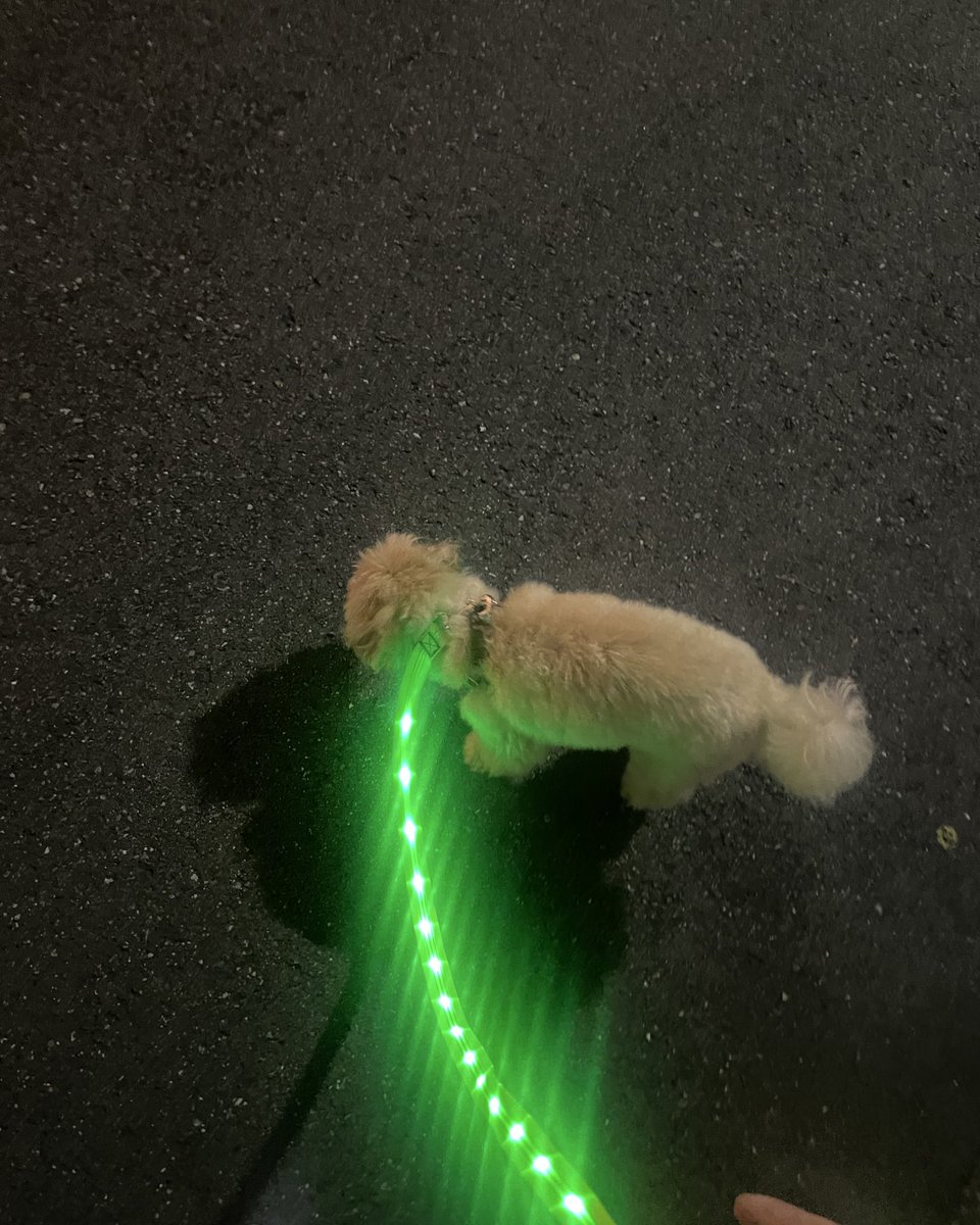 tanoshiine_06's tweet image. 28歳になりました！
もう28となると流石に大人なので、
今日から本格的にしっかりしていこうと思います❗️

良き一年に‼️