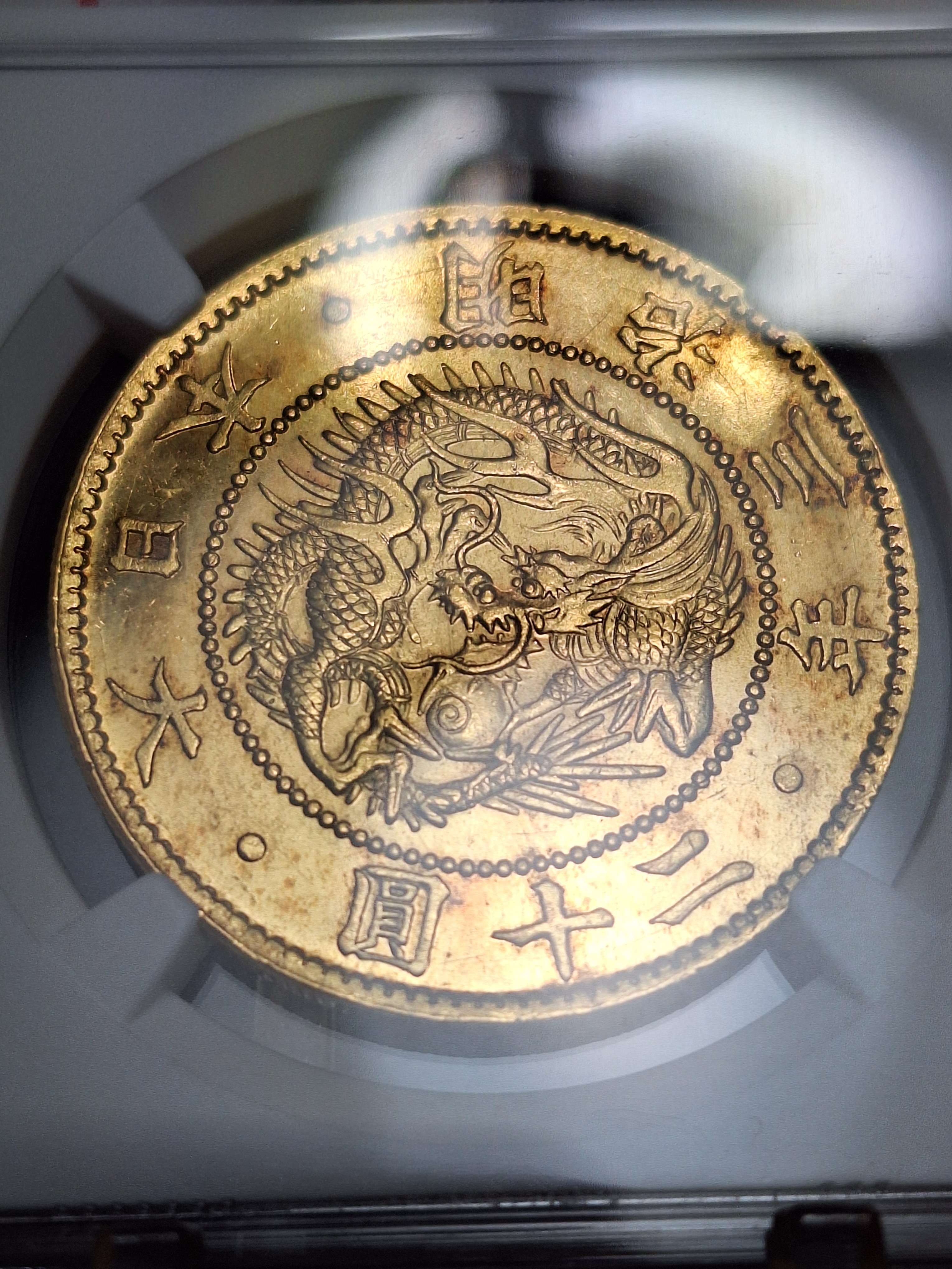 ぽぽろ (@jZPBp4enwqDADoq) / X