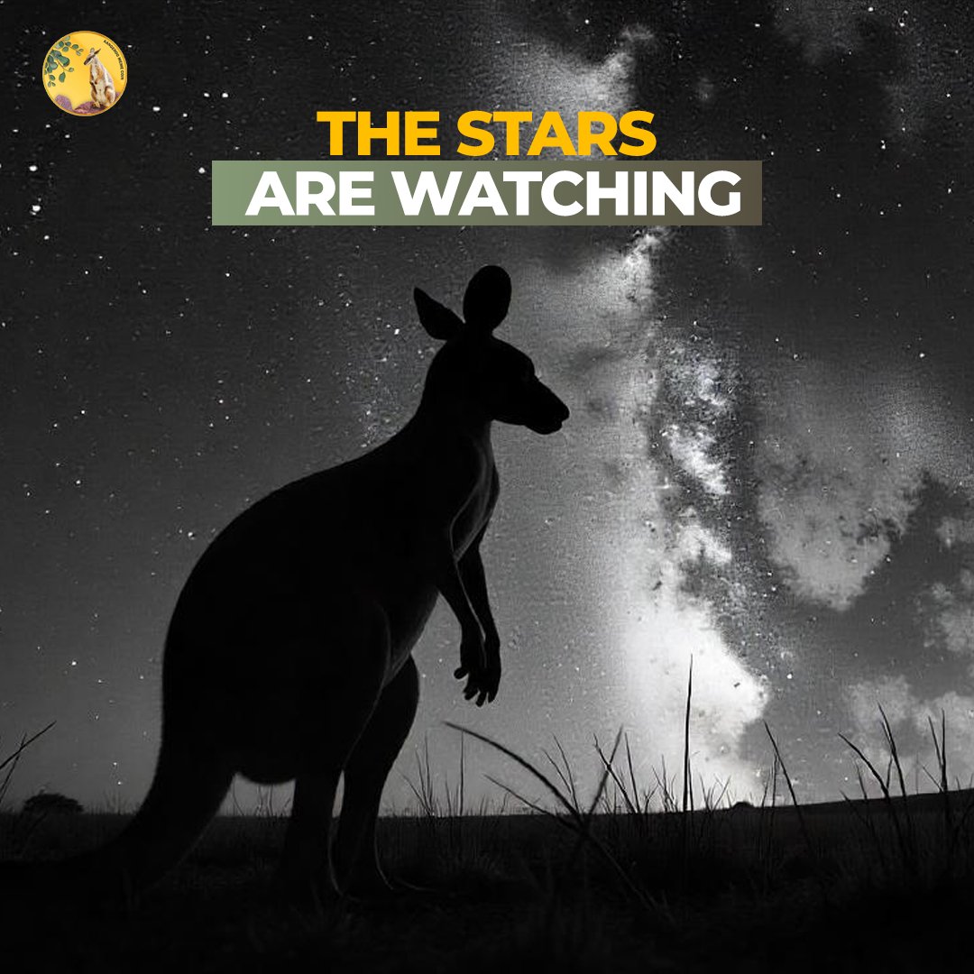 Kangeroo Coin Updates tweet media