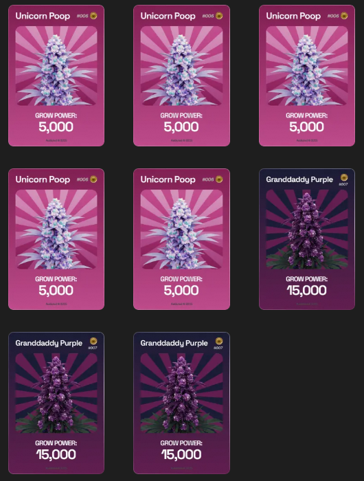 after 15+ packs i finally pulled another GrandDaddy Purp holy fuck 

<a href="/addicteddotfun/">Addicted</a> $weed