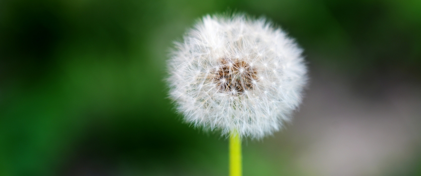 VeDreamHome tweet media