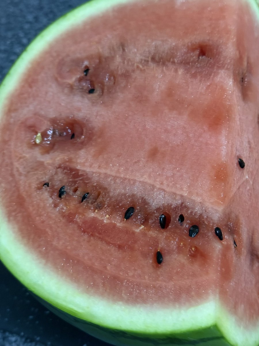 nicola loppas tweet media