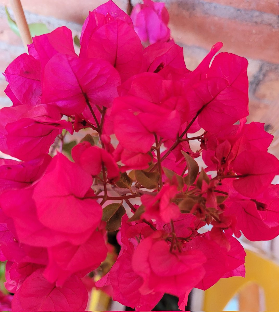 Bona nit i bona setmana👍😘😘