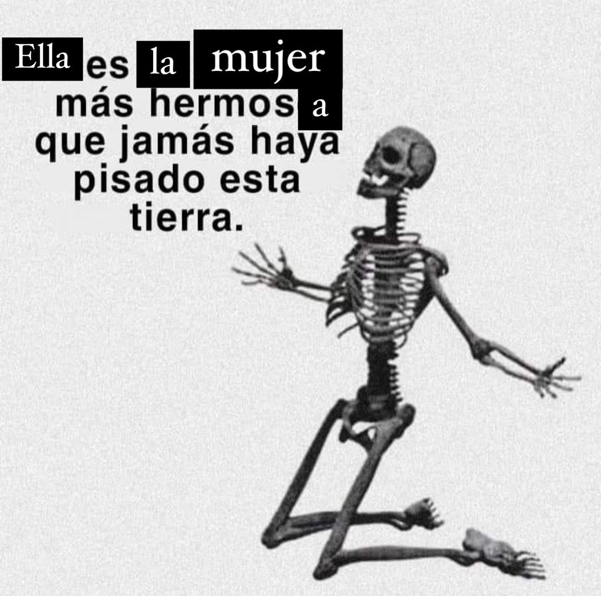 ᅠ ᅠ ᅠ𝐒𝐓𝐄𝐕𝐄𝐍 .ᐟ tweet media