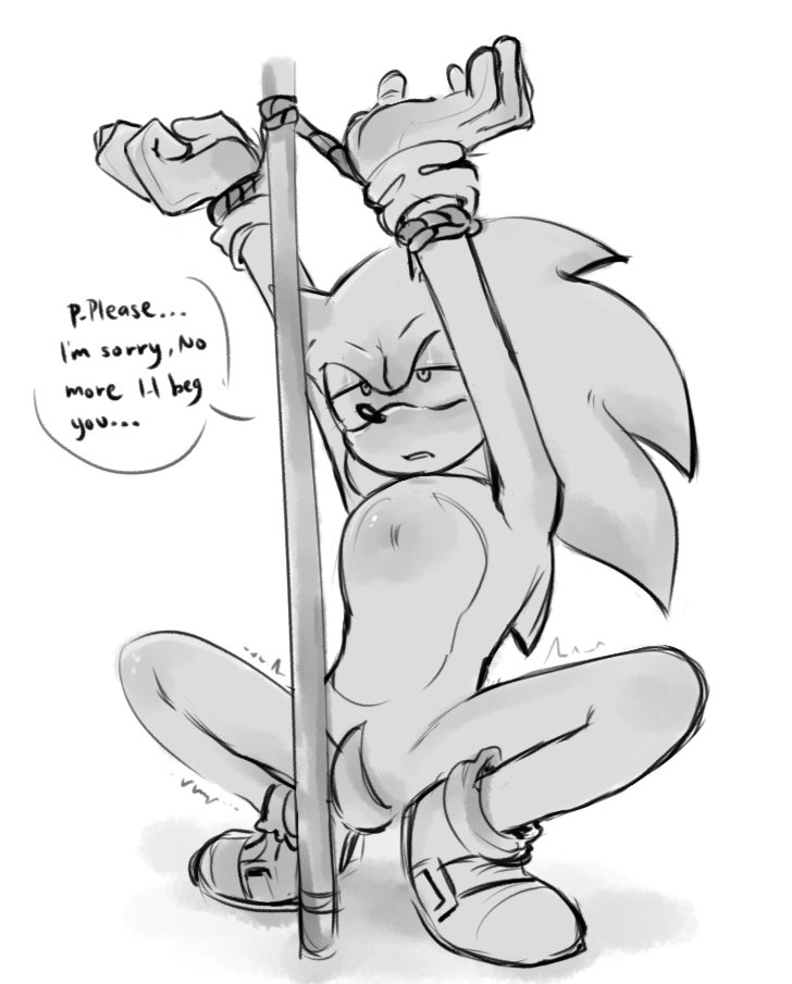 #SonicTheHedgehog #ShadowTheHedgehog 

Hold it.