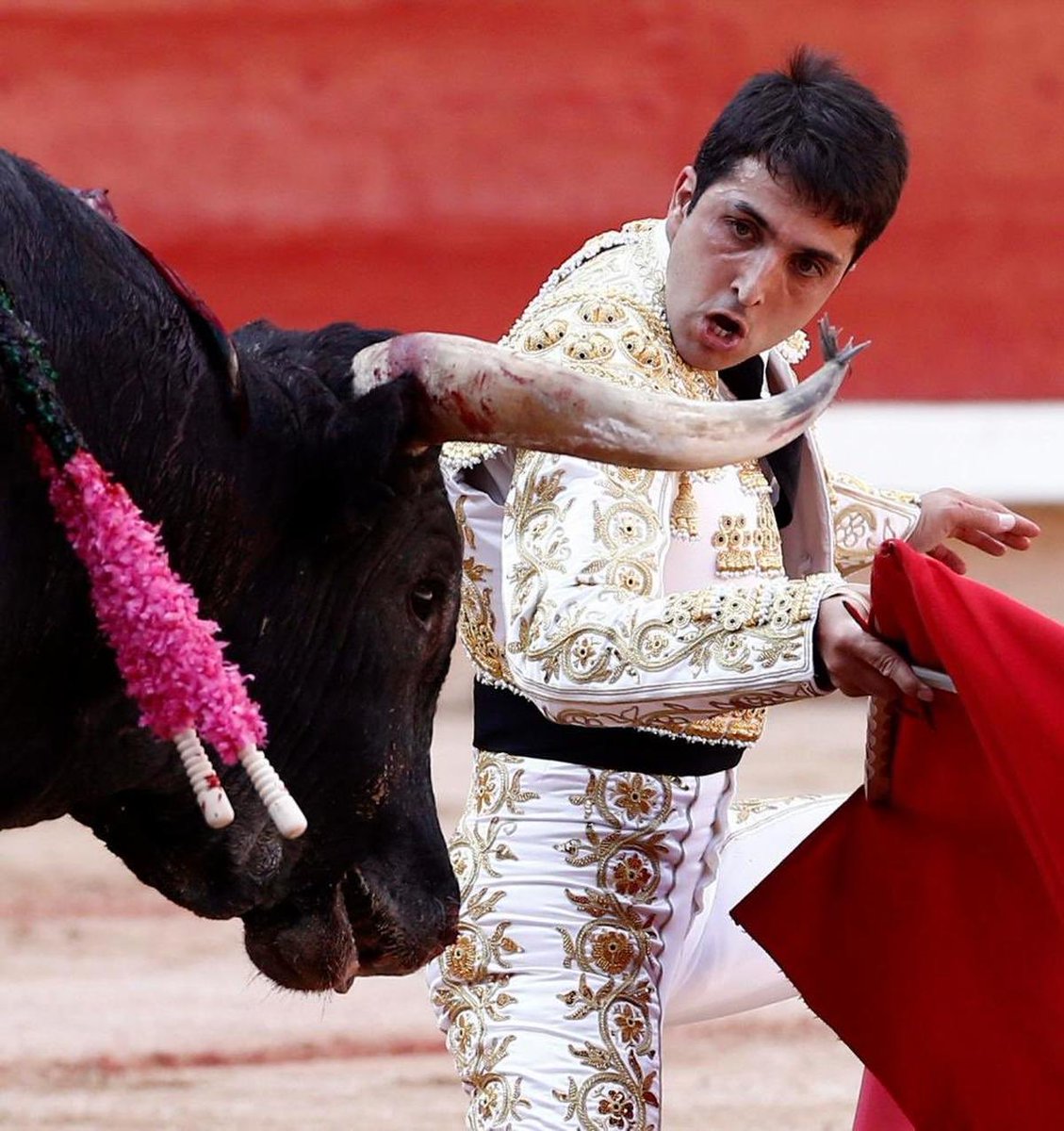 AlexMartinezzz's tweet photo. Hoy, tras 24 años de alternativa, se despide de los ruedos Javier Castaño, un torero valiente y honesto como pocos. Su carrera, larga, irregular y difícil, es un ejemplo de dignidad, verdad y sacrificio. Torero de aficionados, le recordaremos, sobre todo, junto a aquella magnífica “nueva” cuadrilla del arte, por su generosidad lidiadora ante las ganaderías más duras del campo bravo. Gracias y suerte, TORERO.