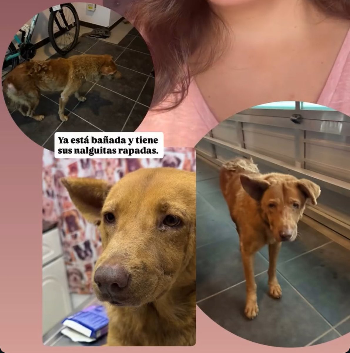 RT🐶
<a href="/mayteponm/">Mayte P.</a> <a href="/mageba04/">Gina alarcon</a> <a href="/Corintiacruz/">Corintia Cruz Oregón</a> <a href="/VialidadXalapa/">Vialidad Xalapa 🚦 VX 🌎</a> <a href="/AbelMucino/">Abel Muciño</a> <a href="/tierraverde1943/">ℓια ₊˚.༄ *ﾟ🌱</a> <a href="/pilykuera/">Pily Peregrina</a> <a href="/CECILLIA36/">CECILIA MENDEZ</a> <a href="/sara_juarez/">saraliz</a> <a href="/Ydlan/">Naldy Patricia</a> <a href="/fherciencias/">Soy Fher!</a> <a href="/camellinlove/">Porque soy xalapeño</a> <a href="/ArrezEdda/">Edda Arrez</a> <a href="/PopColorsXal/">PopCX</a> <a href="/RoxanaAAT/">Feto de PicaFresa🍓</a> <a href="/penelopemoncayo/">Penélope Moncayo.</a> <a href="/Zapatito_Azul/">Yuria Eldia Reyes</a> <a href="/sandysiux/">Sandy Colunga</a> <a href="/rociosaiz/">Rocio Saiz</a> <a href="/Pechmed/">Peter Tweet</a> <a href="/marinavera100/">Marina Vera</a> #Xalapa