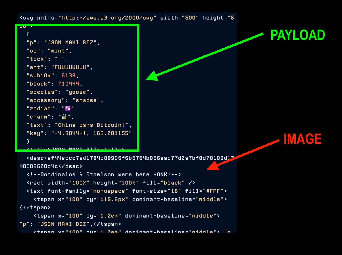 JSON Maxi Biz (JMB) tweet media