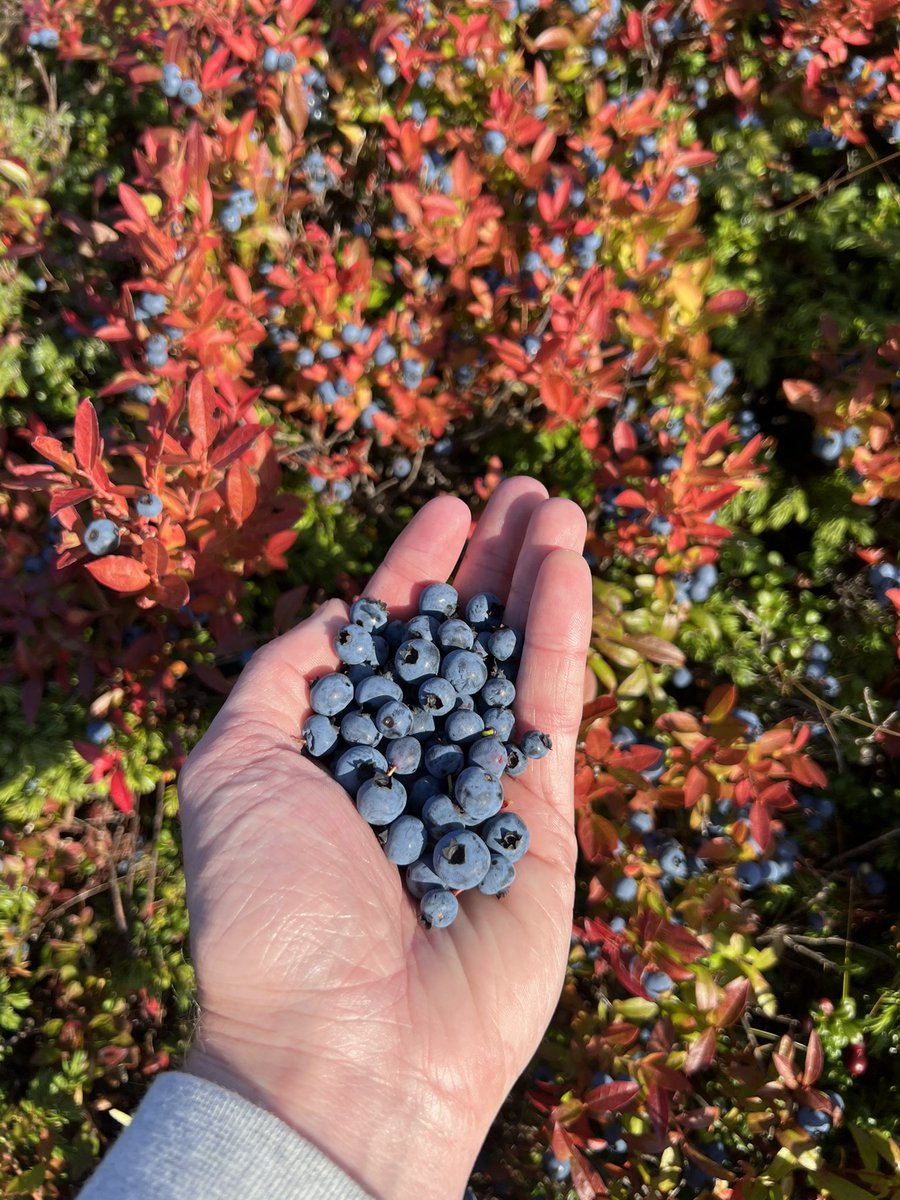 kevinjguest's tweet image. Great weekend spent with friends in Port Rexton!