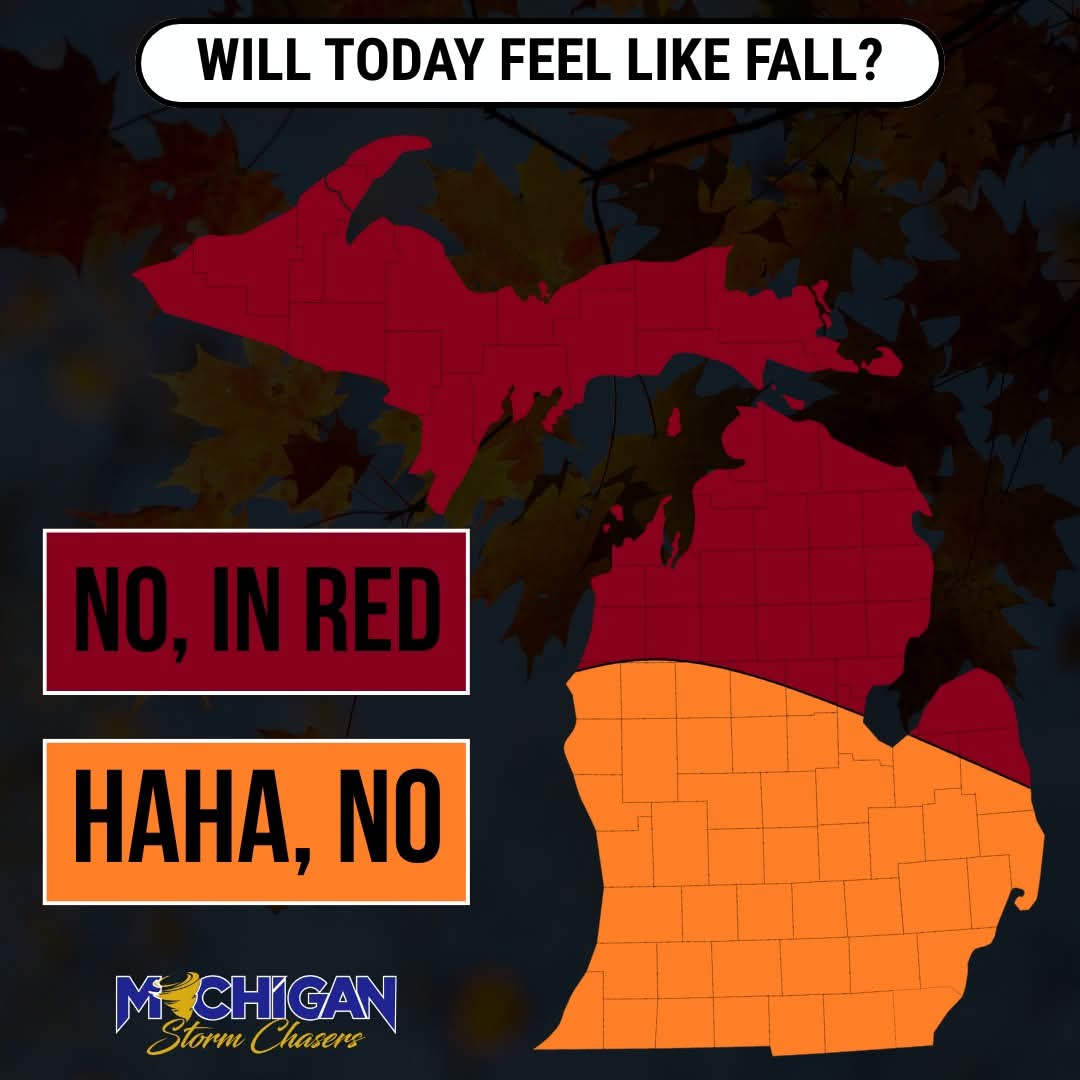 Lisa Frampton (@lmframpton) on Twitter photo 