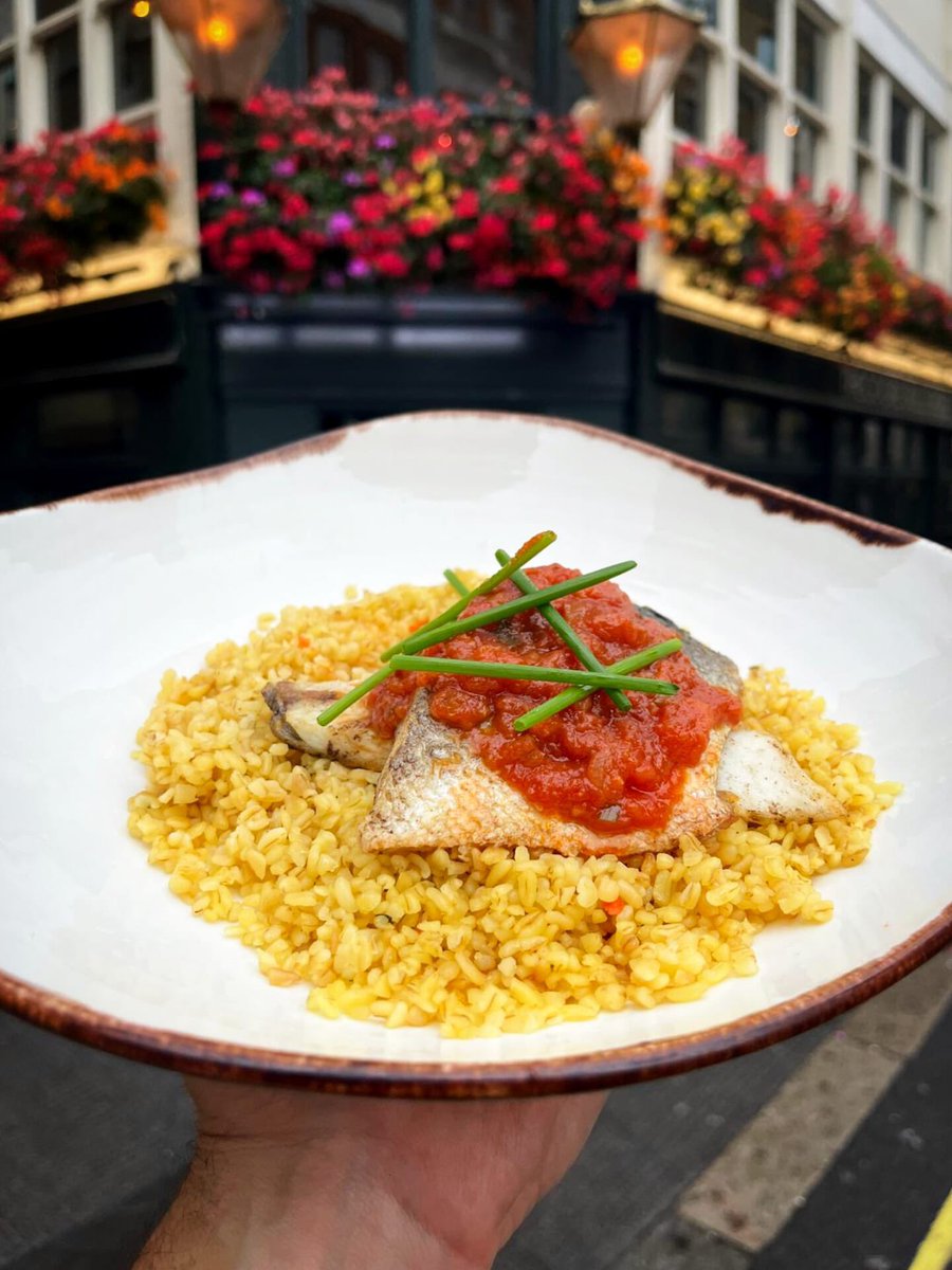TheoBullfrogWC2's tweet image. Our scrumptious autumn and winter menu is here, including this delicious dish of sea bass 😋🐟🍴

Hurry on down to the Theodore Bullfrog to get your grub on this October!

#youngspubs #newmenu #autumnmenu #autumnvibes🍁 #seabass
