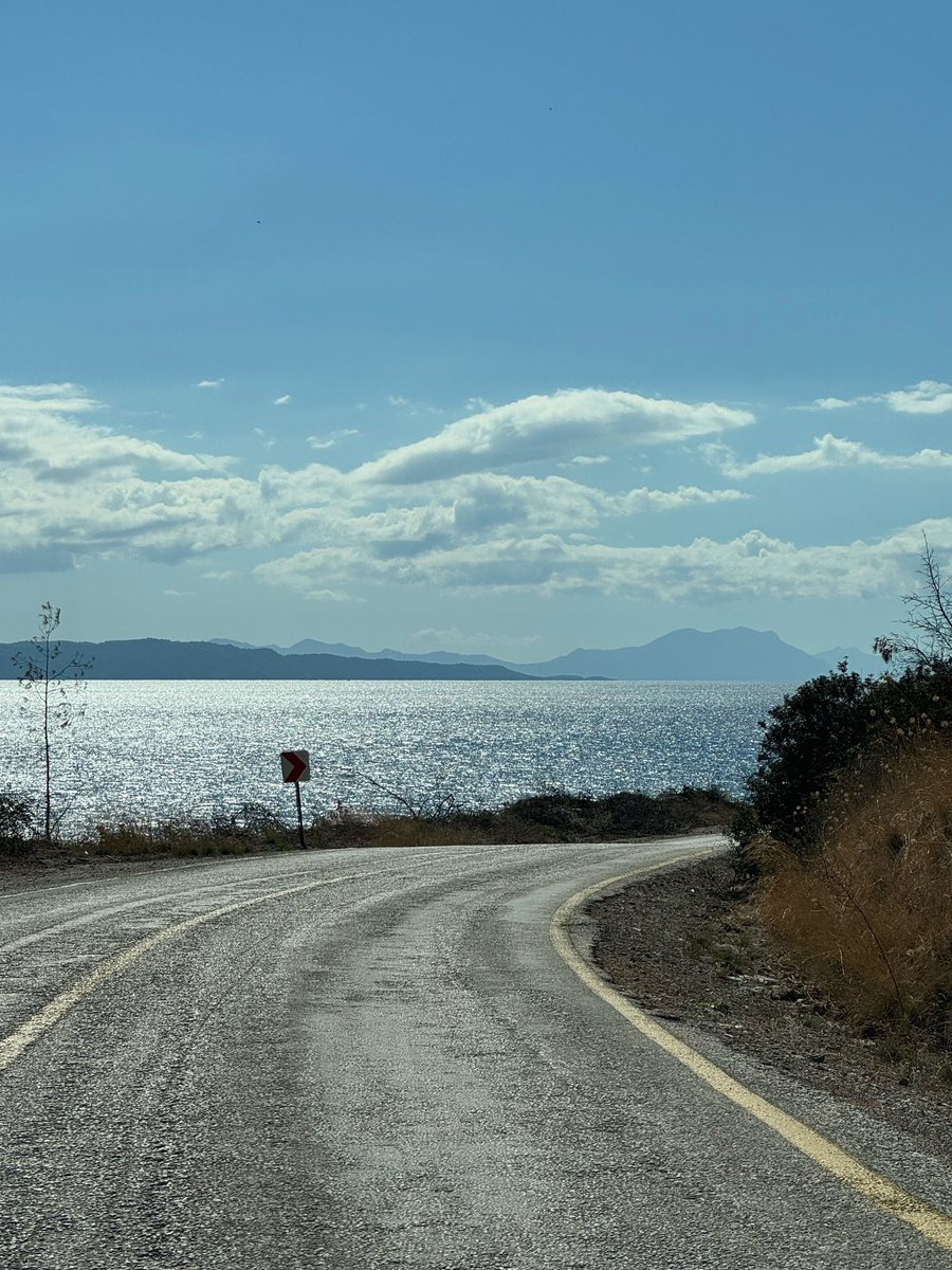 İsmail Terzi tweet media