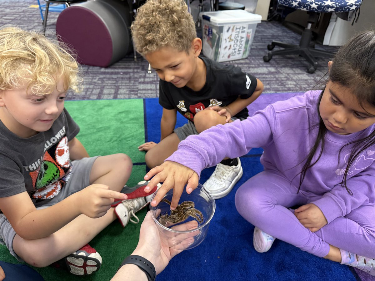 Thank you, <a href="/teachweave/">Ben Weaver</a>, for letting Kida visit us. We’ve been reading about bugs all week &amp; focusing on texture words. She had just shed her exoskeleton so we even got to feel her soft legs. Initially, some of us were scared, but after careful observation we decided she was cute!