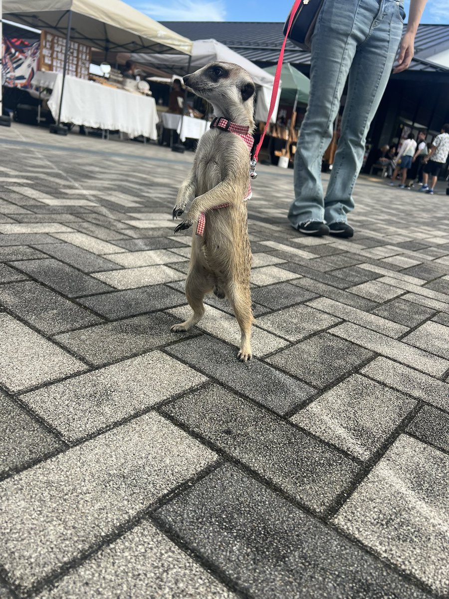 今日はおでかけしてきたよ🍠