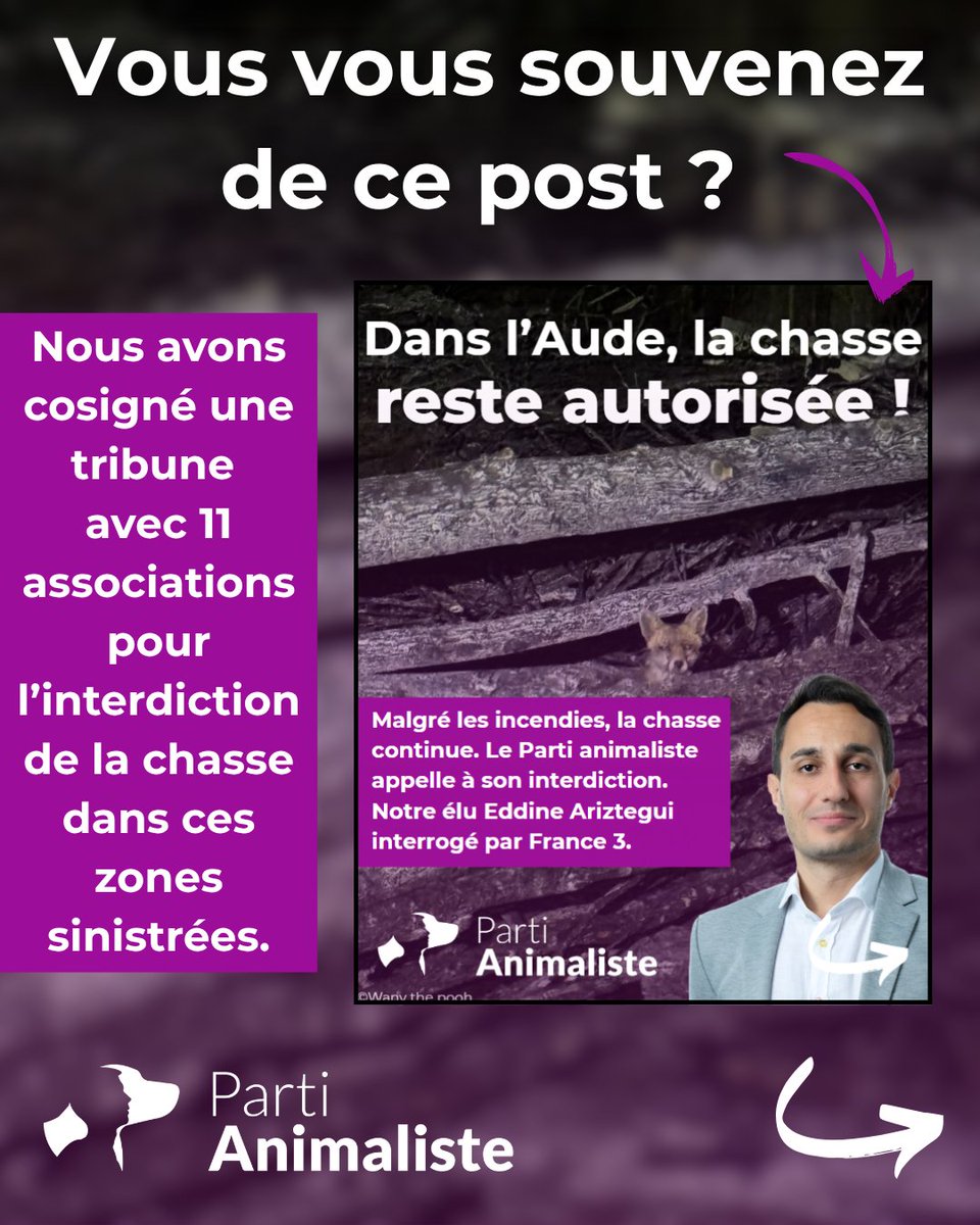 Un méga-feu a ravagé l’Aude cet été. 17 000 hectares sont partis en fumée, des millions d'animaux ont péri...

Pourtant, la chasse reste autorisée dans les zones calcinées.

Aux côtés d'associations, nous exhortons au préfet de l'Aude d'interdire la chasse dans ces zones !

[1/4]