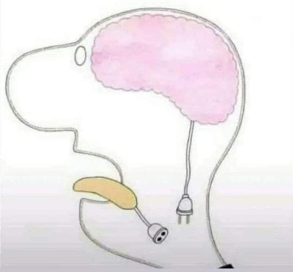 TimelessSpaces3's tweet photo. #Fact_of_Life
Make sure it's connected before you start talking. https://t.co/nJO15ZZ1DC