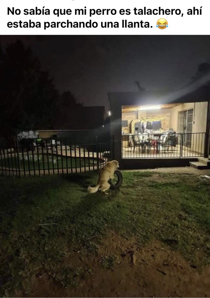 🤪🥊💦🤪🥊💦🤪🥊💦