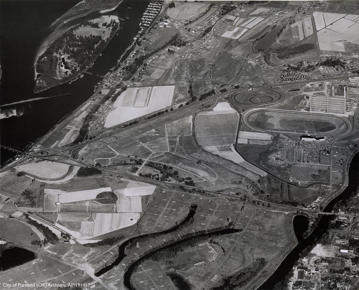 Memorial Coliseum Book tweet media