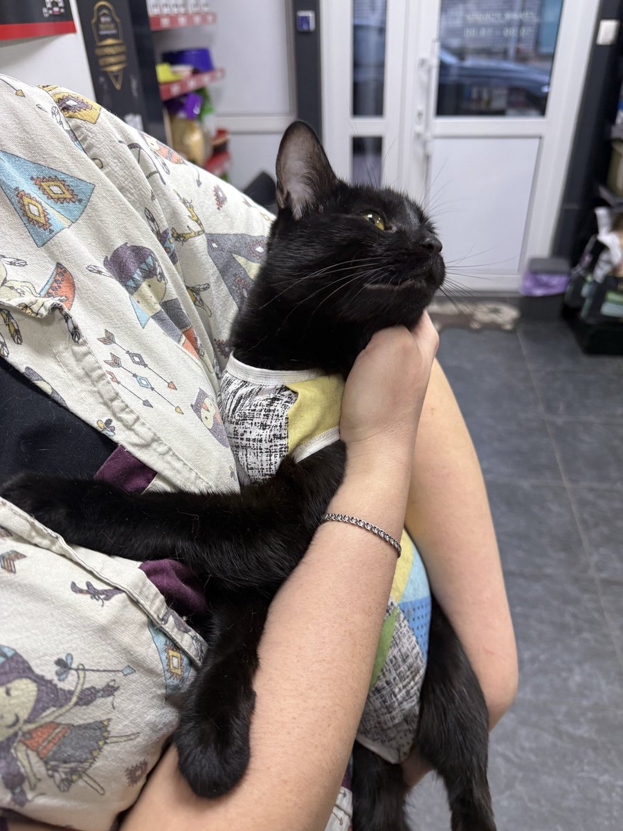 Друзі, допоможіть знайти сімʼю цій красуні
Стерилізована, до лоточка привчена, приблизно 1.5 роки, дуже контактна і лагідна
Допоможіть знайти сімʼю маленькій 🥺

Буду вдячна за репост🤍