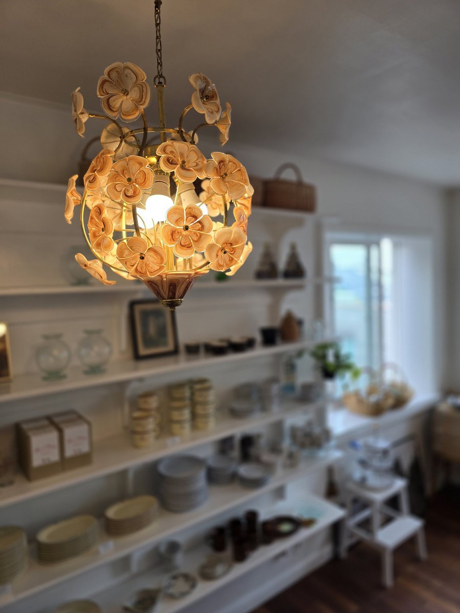 요즘 그림은 안그리고 사진을 찍어요.