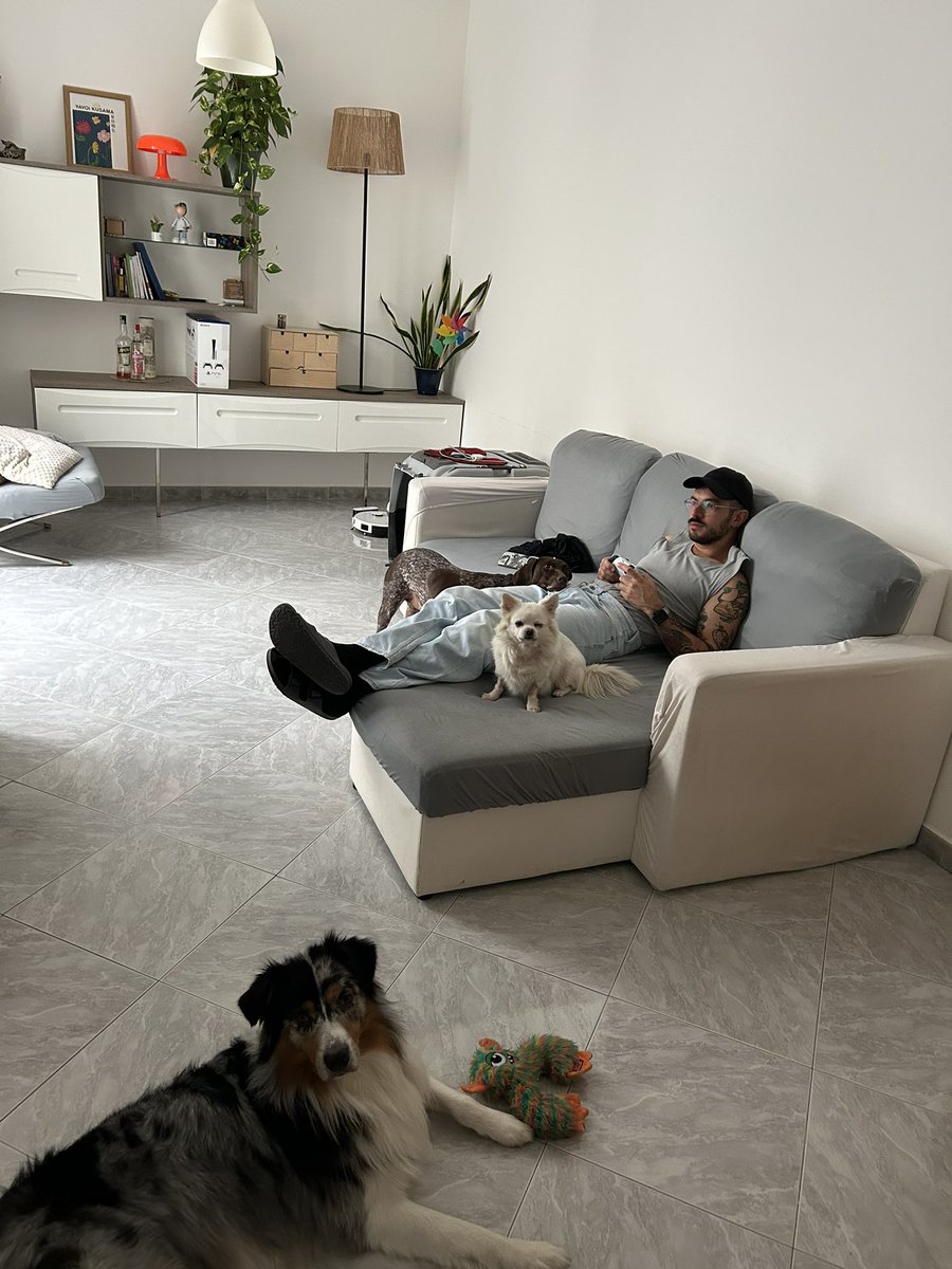 Giando_Pulvisco's tweet photo. Cani, amore e PlayStation 🧡 https://t.co/i3BeeIn9nf