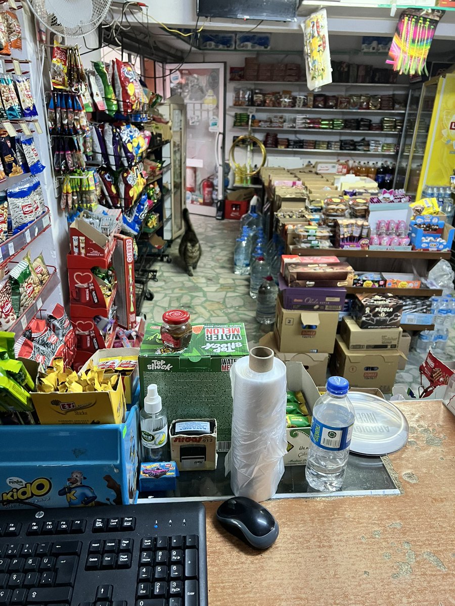 cofaktorx's tweet photo. anlık bakkal işletiyorum, kedim de var https://t.co/0LFpuxUPTG