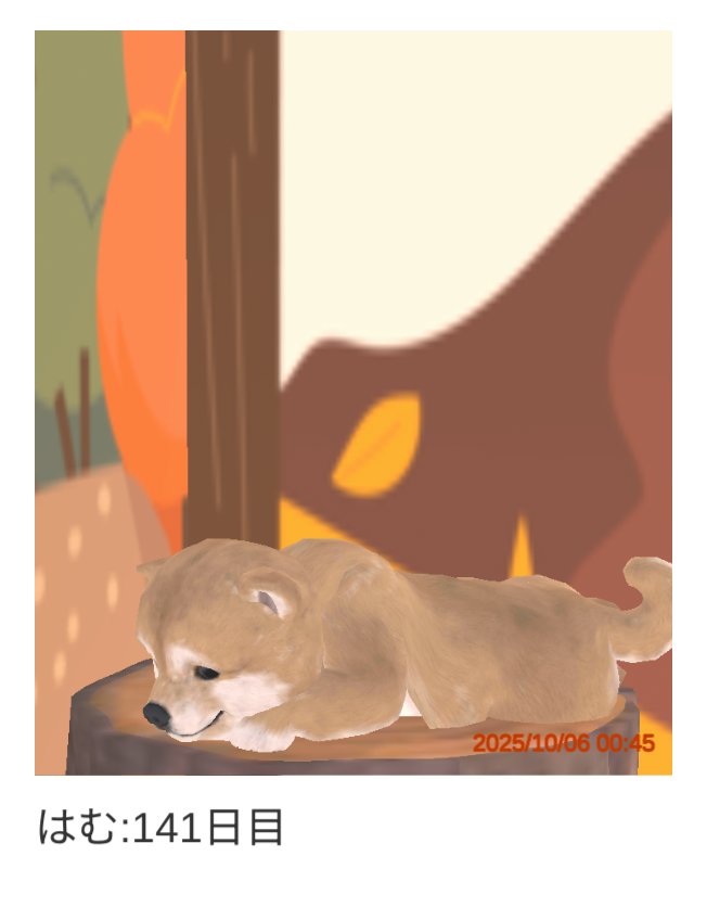 今日のはむ
#わんこと私
GooglePlay:bit.ly/48hRUJx