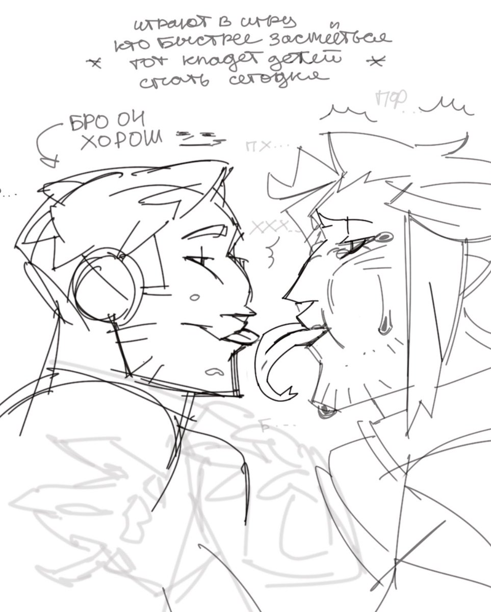 ✦ PRIMA tweet media