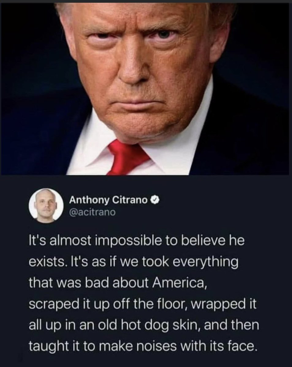 He had me at “old hot dog skin”! 😆

#DV1 #DemsUnited