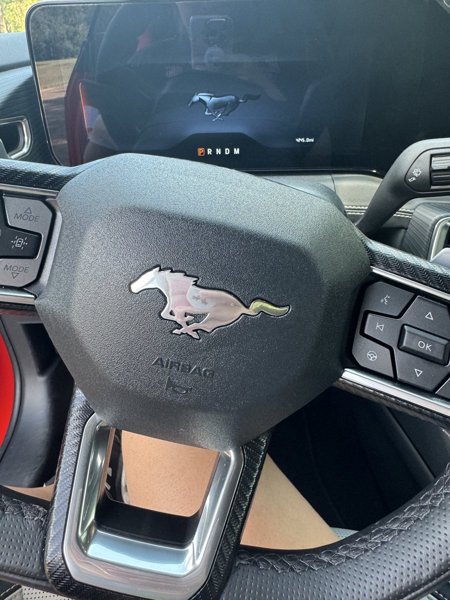 Every time I drive a Mustang, I’m like “yeah man I am such a Mustang person”