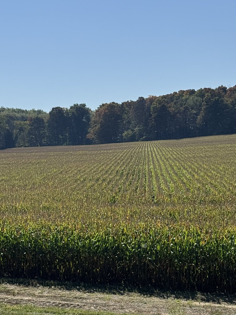 Ken Schaus 🇨🇦 tweet media