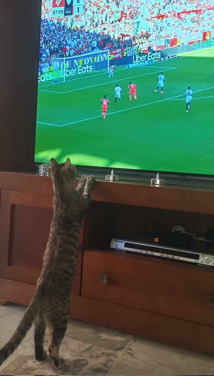 Un sevillista más #SevillaBarca