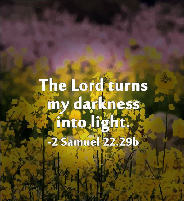 dicklawfirm's tweet image. #FlowState #CozyAutumn #LunarBuildup #MorningSuccess