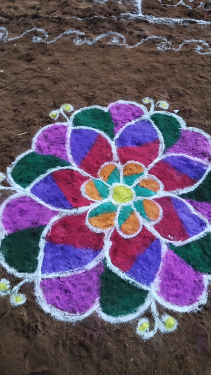 🪞🎀🌷🌺