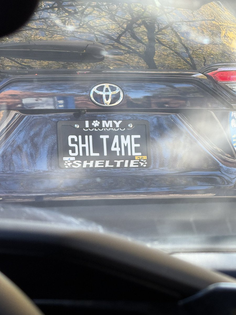 SHIT 4 ME
