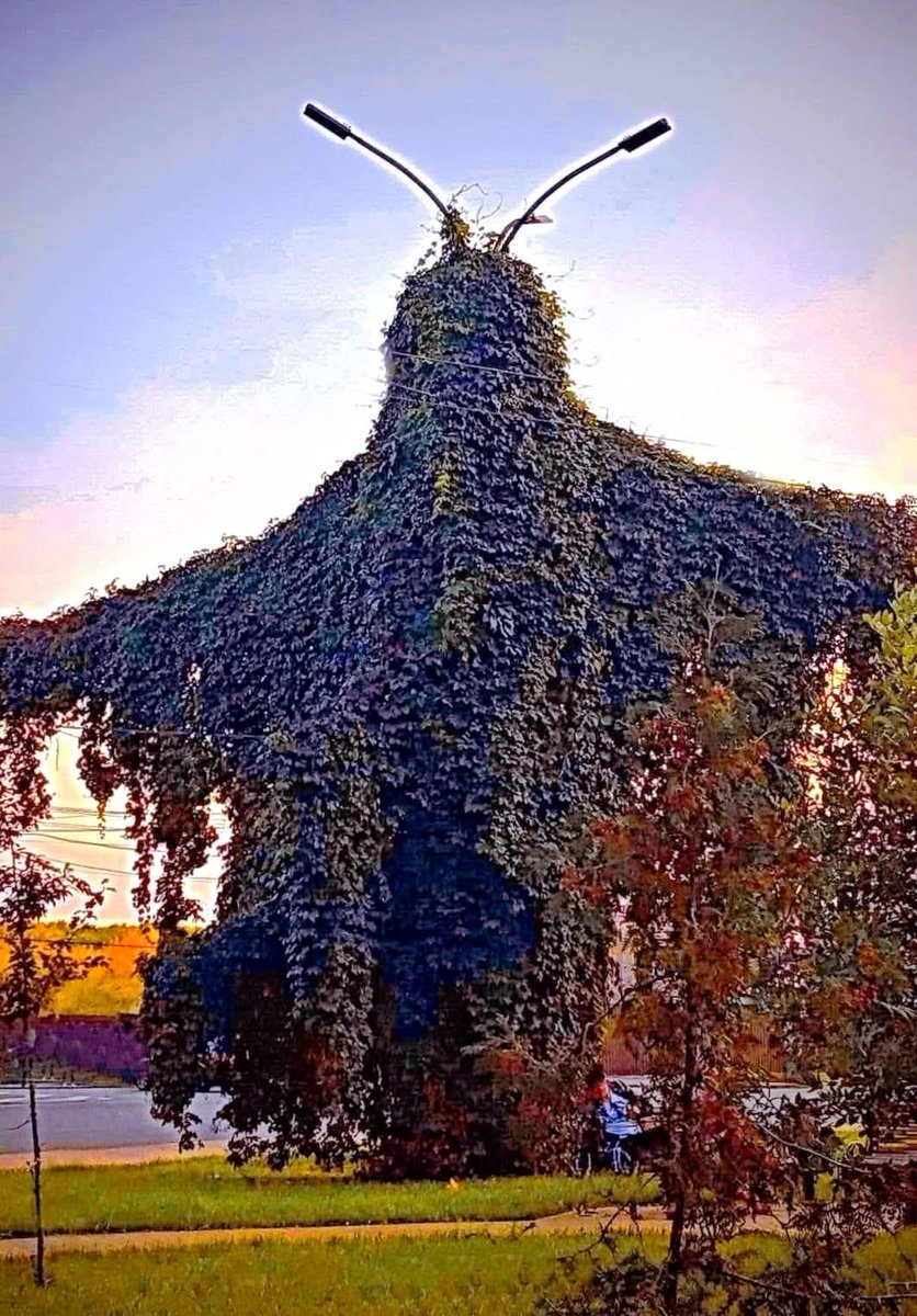 Чернігів