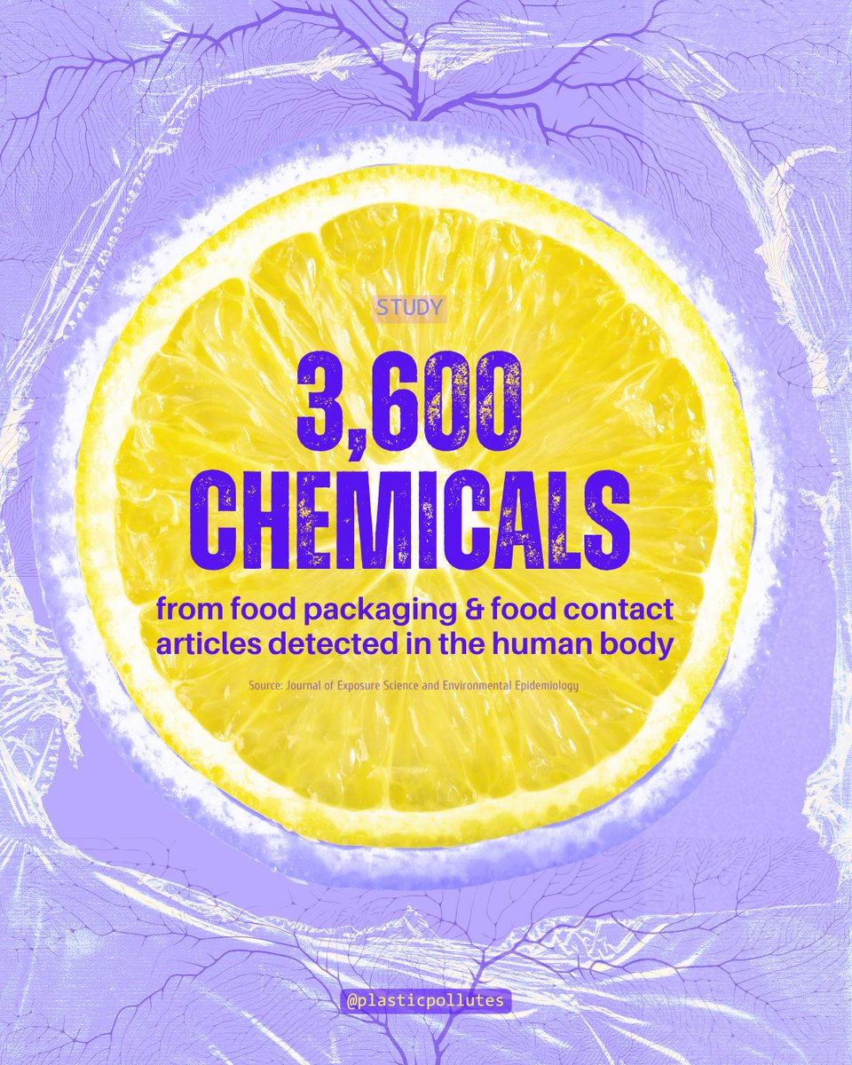 🔬In a study, researchers from Food Packaging Forum found 3,601 chemicals, specific to food packaging and food contact articles, in human blood, urine, and breast milk. These include chemicals of high concern that are linked to cancers, heart disease, and more. 👉🏼 Learn more: