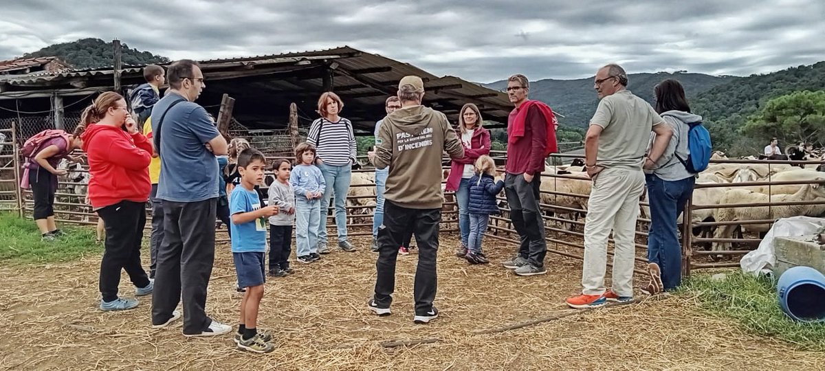 Can Terrades (@jmsauri) on Twitter photo Aquest finde hem participat en benvinguts a pagès. Ha estat extenuant xerrar tant, però em sento absolutament satisfet dels resultats i sobretot d'explicar el que fem. La mainada contenta amb els xais petits. #benvingutsapagès #Montnegre Aquest finde hem participat en benvinguts a pagès. Ha estat extenuant xerrar tant, però em sento absolutament satisfet dels resultats i sobretot d'explicar el que fem. La mainada contenta amb els xais petits. #benvingutsapagès #Montnegre