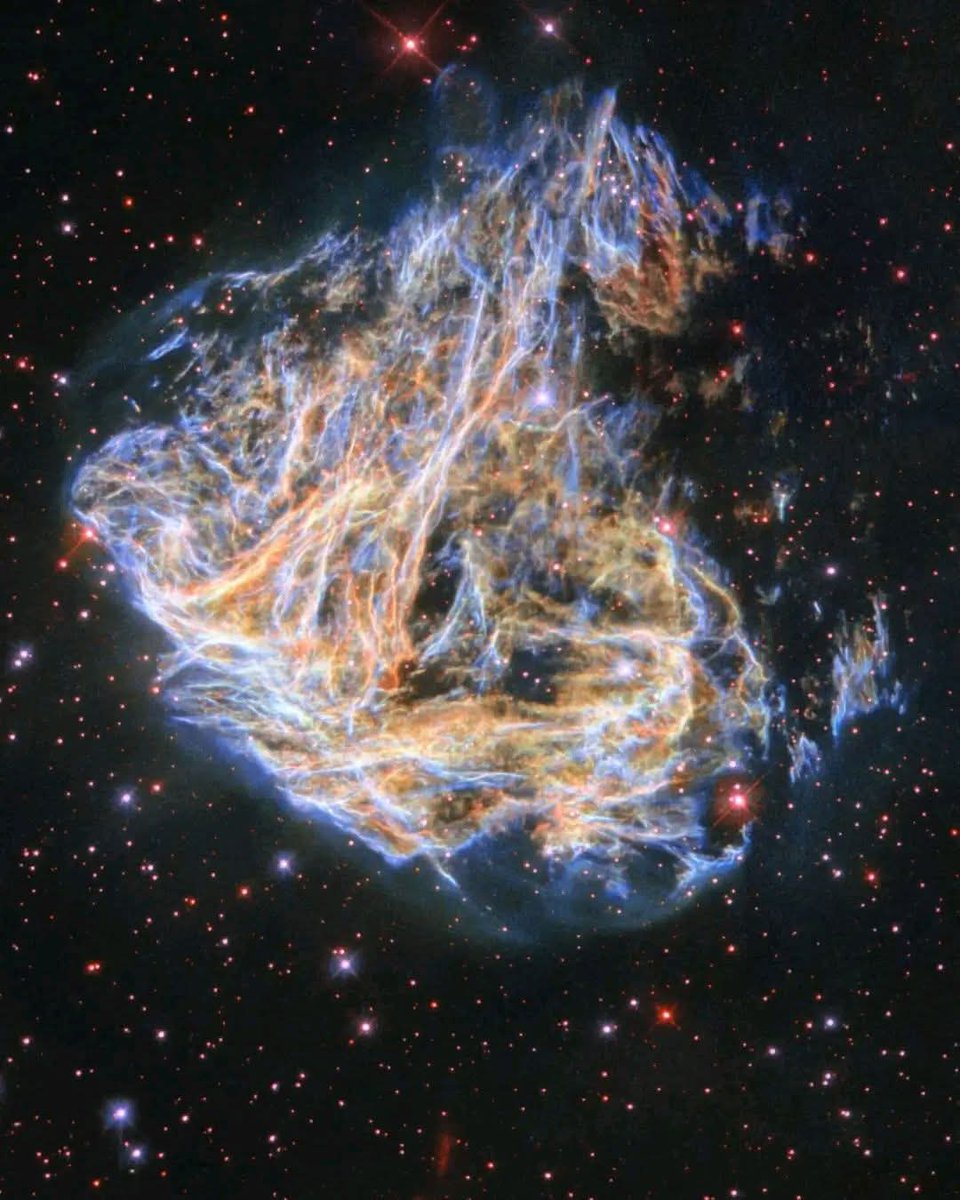 The Hubble Space Telescope captured this image of supernova remnant DEM L 190 (also LMC N49), the brightest in the Large Magellanic Cloud, about 160,000 light-years away in Dorado. The remnant's delicate filaments are explosion debris that will form new stars. It interacts with