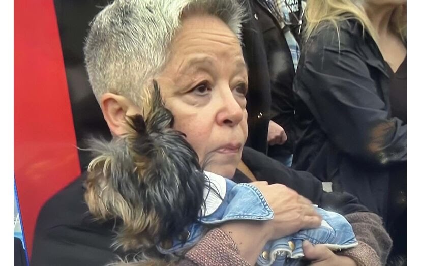 59 contra 1, e continuam ressabiados. 🤣😂🤣
A paracheta e restante seita recorrem a tudo, só falta arrancar olhos ao "lulu" porta chaves! 🤣😂🤣😂

São tão cepos que nem mentir sabem! 😂🤣
<a href="/MariaVi19856058/">Maria Vieira</a> 
São as ordens, certo @andrecventura!? 😉