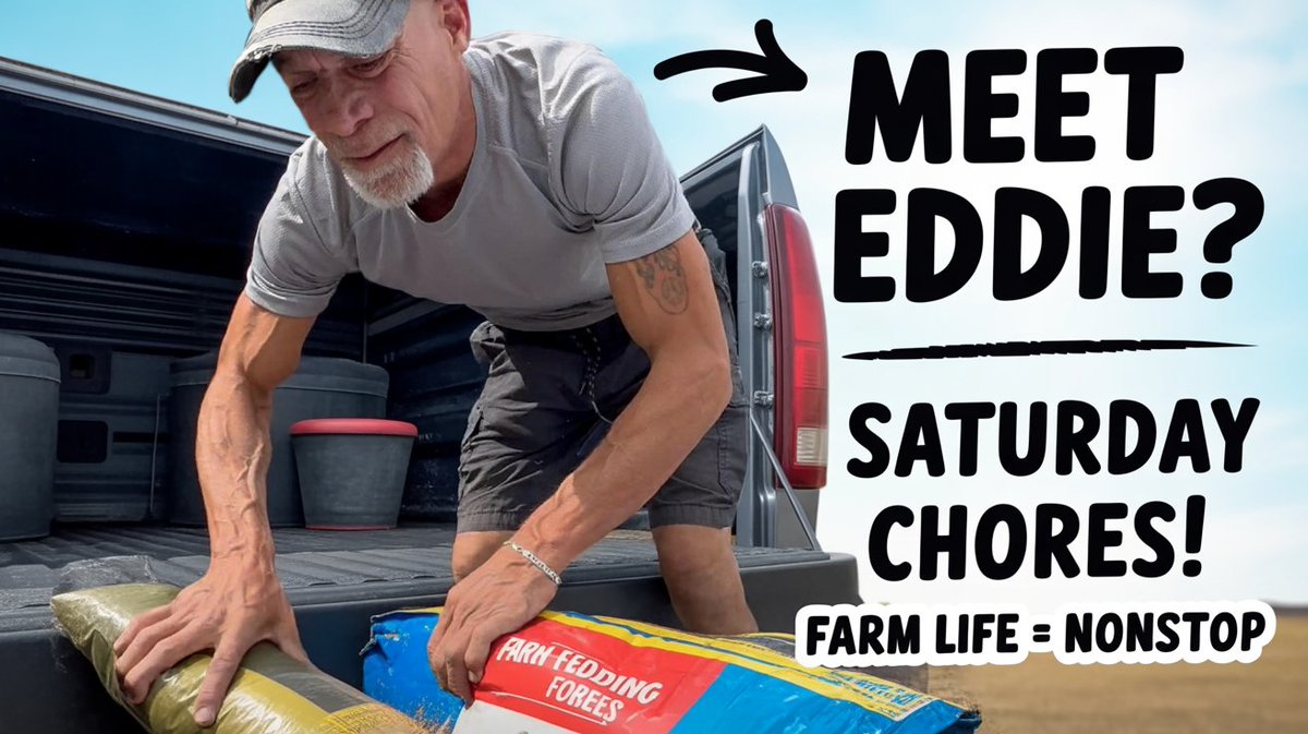 strumngrumbles's tweet image. Eddie’s the definition of a farmer 👨‍🌾💪
From hauling feed to broody hens biting fingers 🐔😂, Saturdays on the homestead are NEVER boring!
Watch here 👉 Meet Eddie &amp;amp; Saturday Chores
youtube.com/watch?v=g2GzUN…

#FarmLife #Homestead #Chickens #HorseCare #GrumblesHomestead