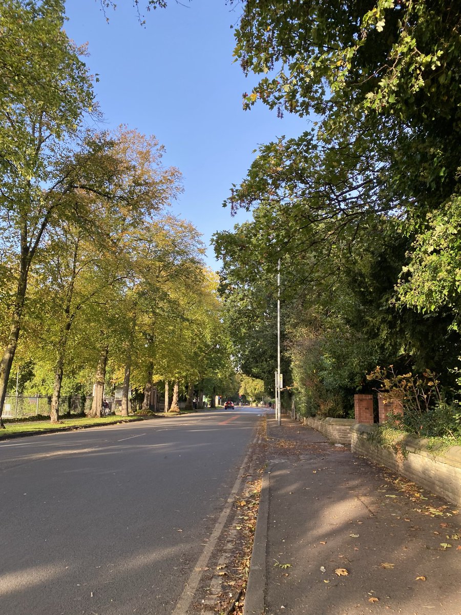 emmelinewd19's tweet photo. Lovely morning for a run. Not too hot, gorgeous Autumnal colours, blue sky…Autumn running is the best 😍☀️🍂

@UKRunChat #autumnrunning #running
#manchester https://t.co/fOTc5AREgb