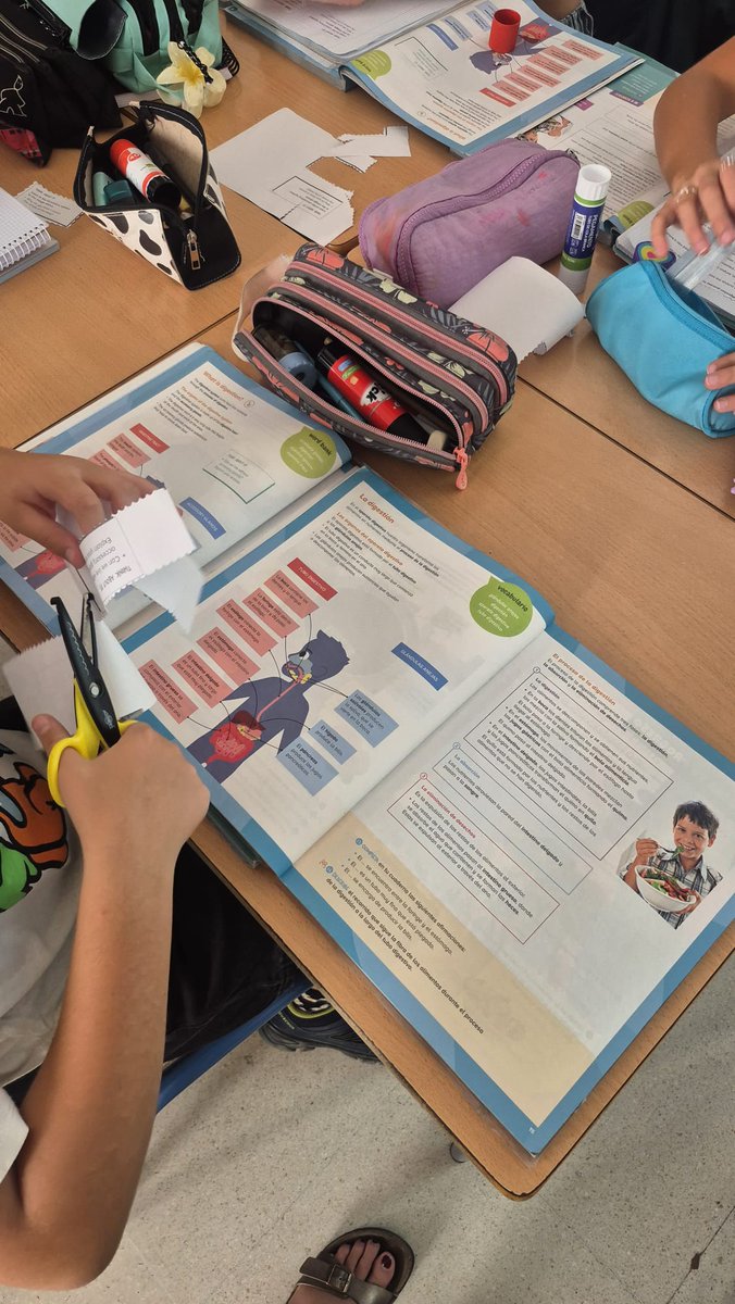 Thanks to <a href="/CEPdeCadiz/">Centro del Profesorado de Cádiz</a> and the four host primary schools in Cadiz for an excellent job shadowing experience for our Modern Foreign Languages Community of Practice.